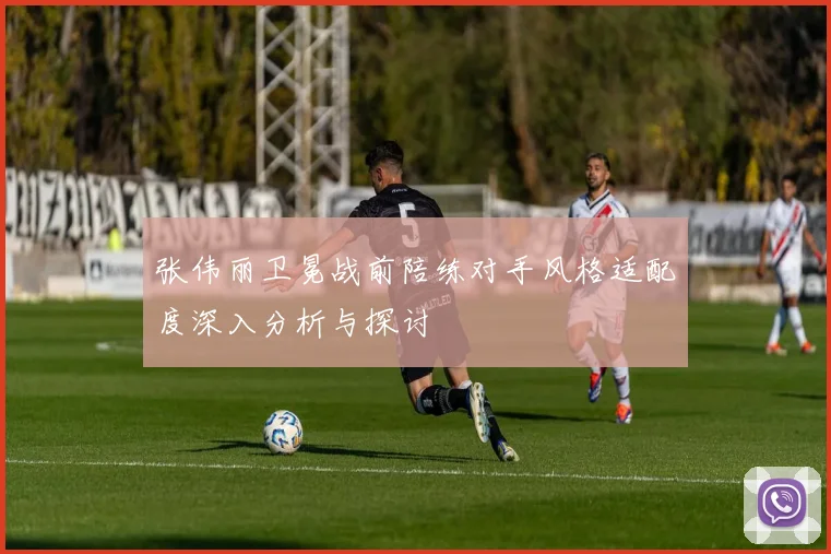 张伟丽卫冕战前陪练对手风格适配度深入分析与探讨